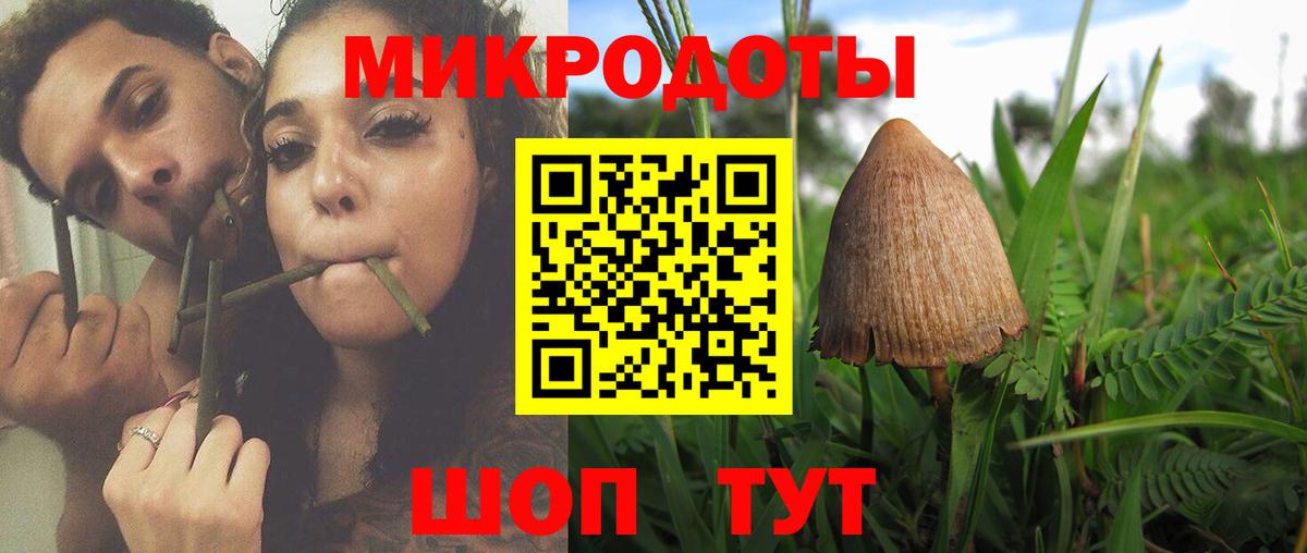 Галлюциногенные грибы прущие грибы  где купить наркотик  Тверь  Вход с VPN 