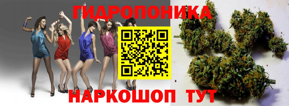 МАРИХУАНА гибрид  Шишки марихуана OG Kush  Канабис Ganja  Тверь  Бошки марихуана семена  Вход с VPN 